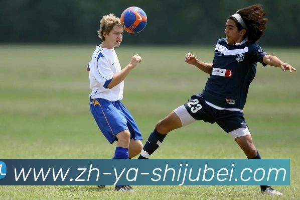 多媒体互动体验