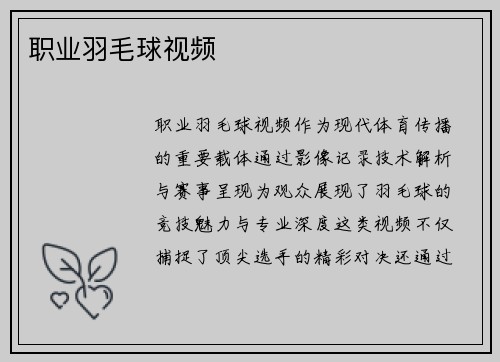 职业羽毛球视频