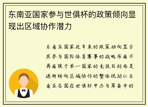 东南亚国家参与世俱杯的政策倾向显现出区域协作潜力